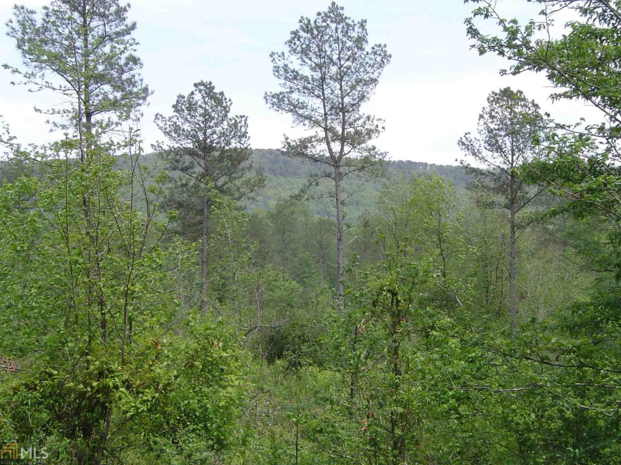 0 Lower Mill Creek Rd - Photo 1