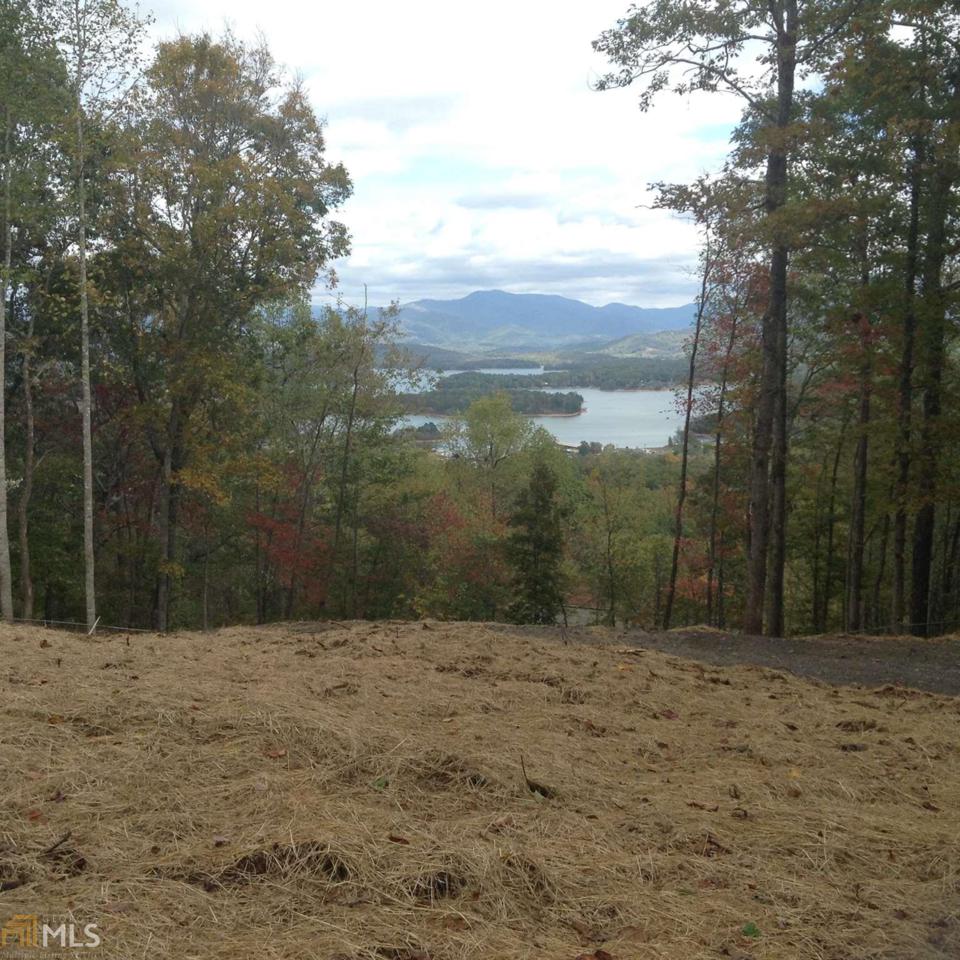 0 Mining Gap Trl - Photo 1