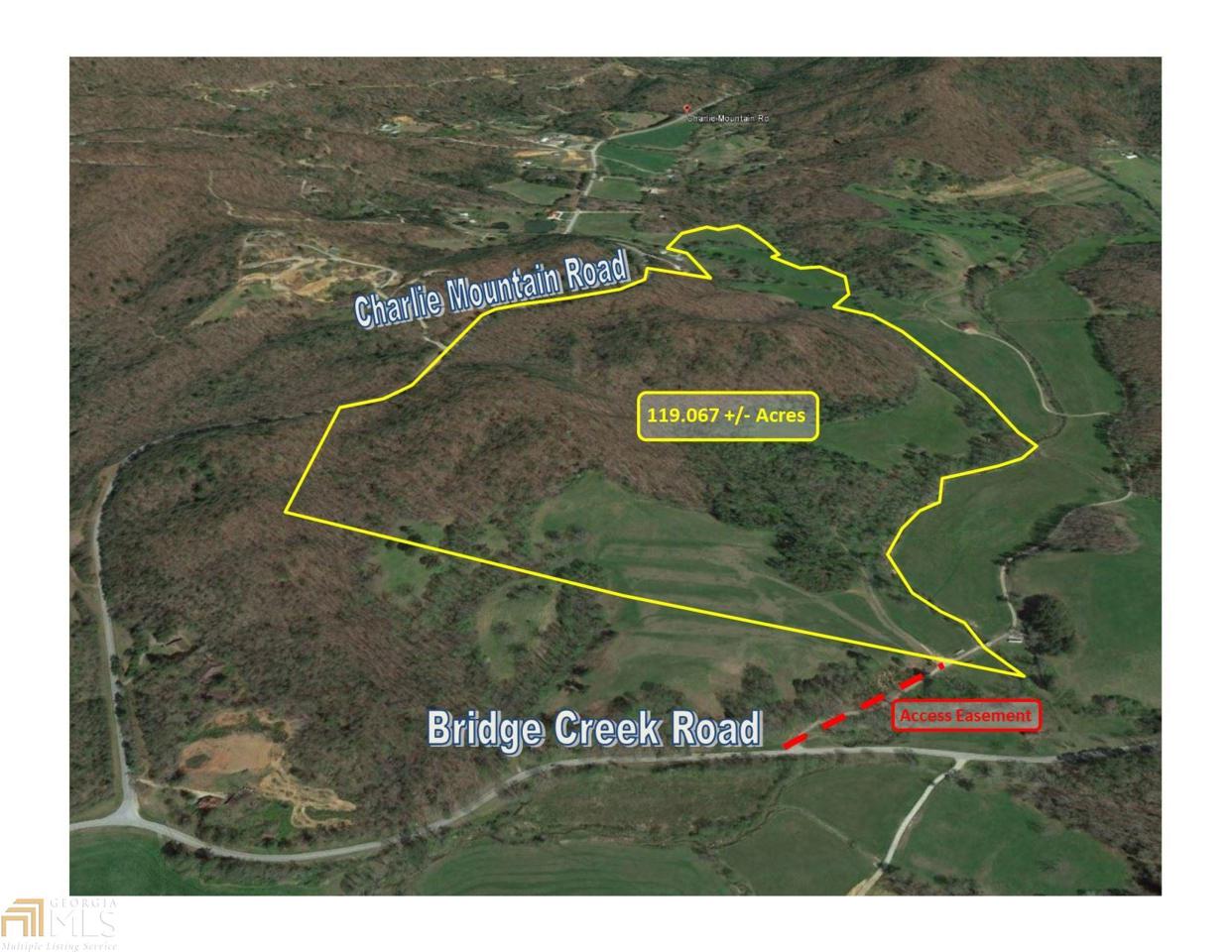 0 Charlie Mountain Rd - Photo 1