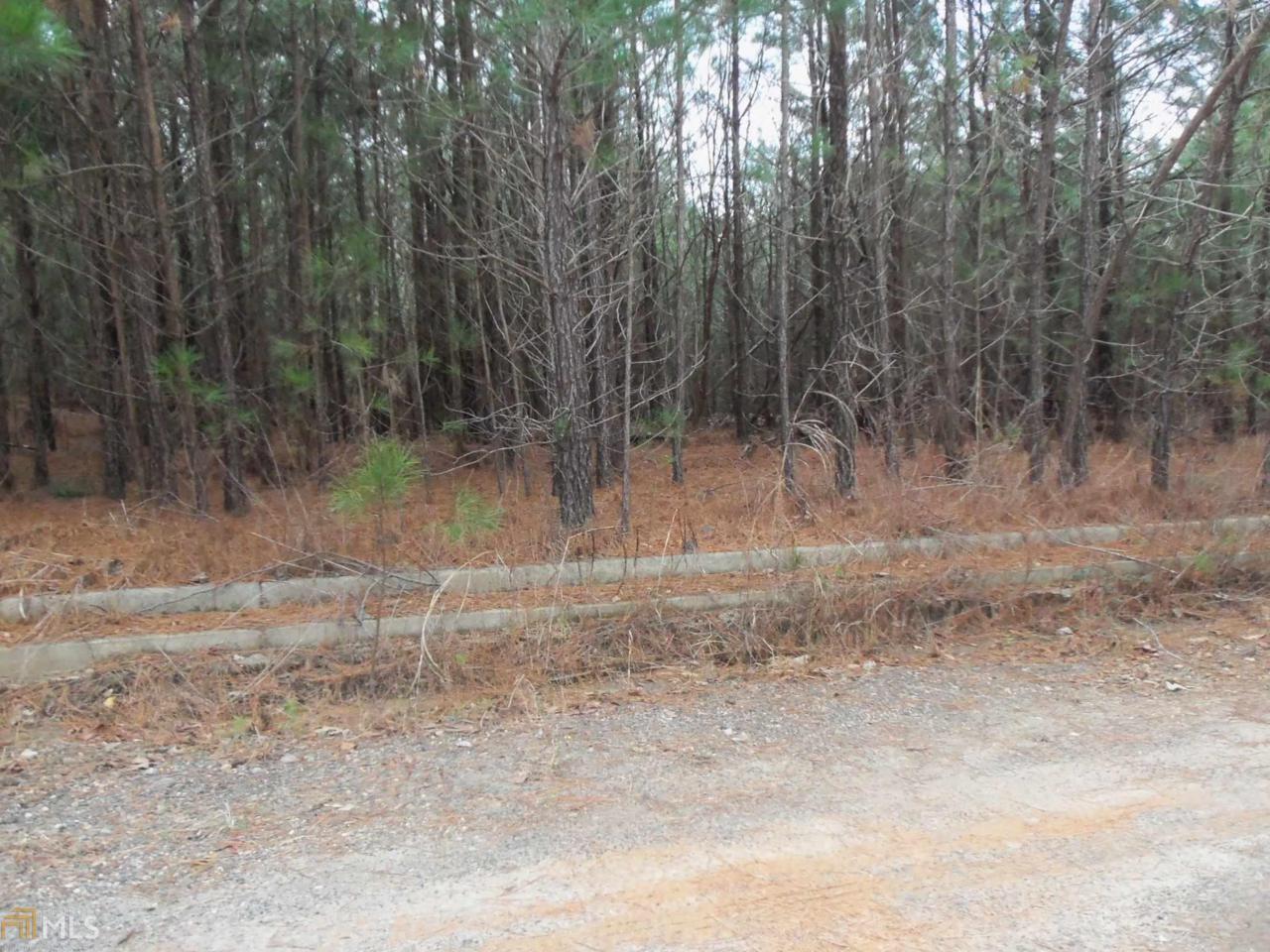 0 Chattahoochee Dr - Photo 1
