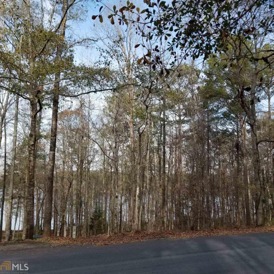 2.23A Piedmont Lake Rd - Photo 1