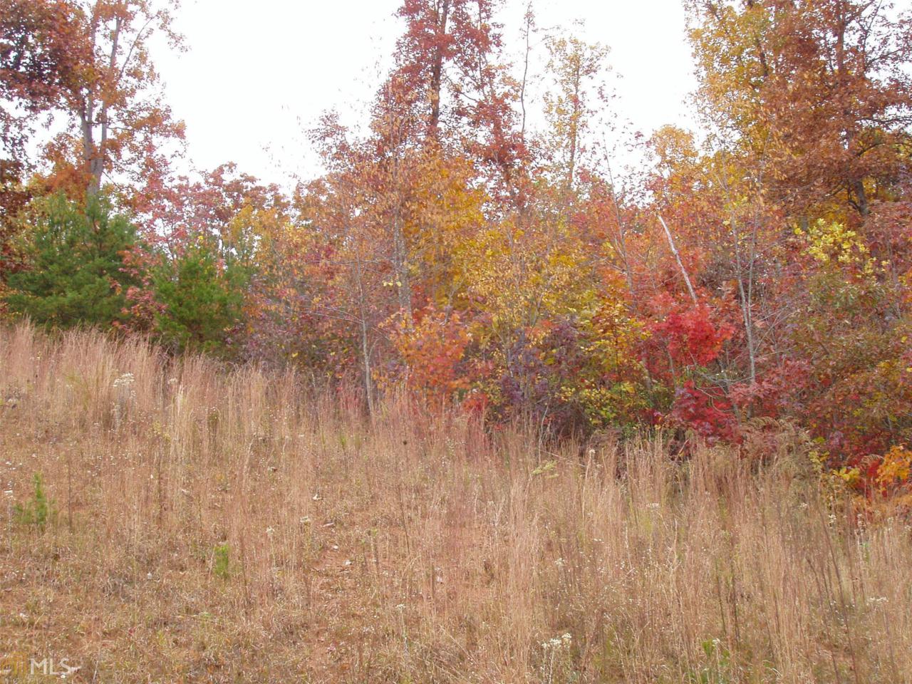 #10 Chimney Lake Dr - Photo 1