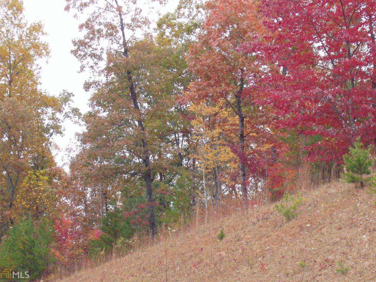 #11 Chimney Lake Dr - Photo 1