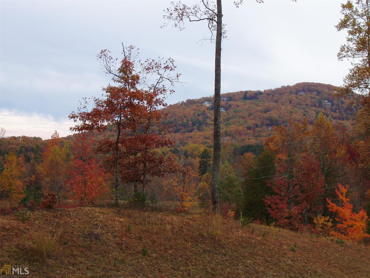 #12 Chimney Lake Dr - Photo 1