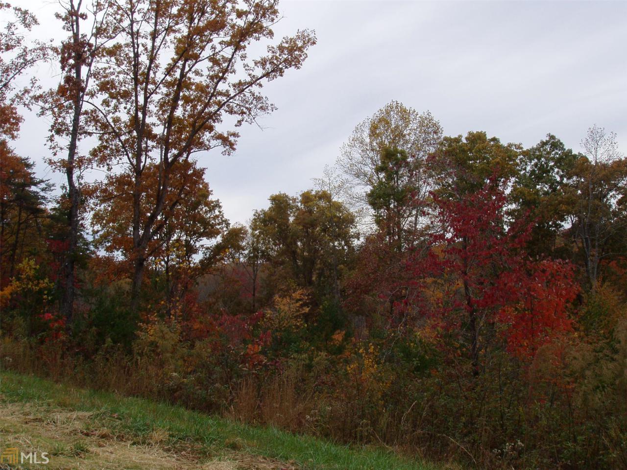 #26 Smoke Ridge Way - Photo 1