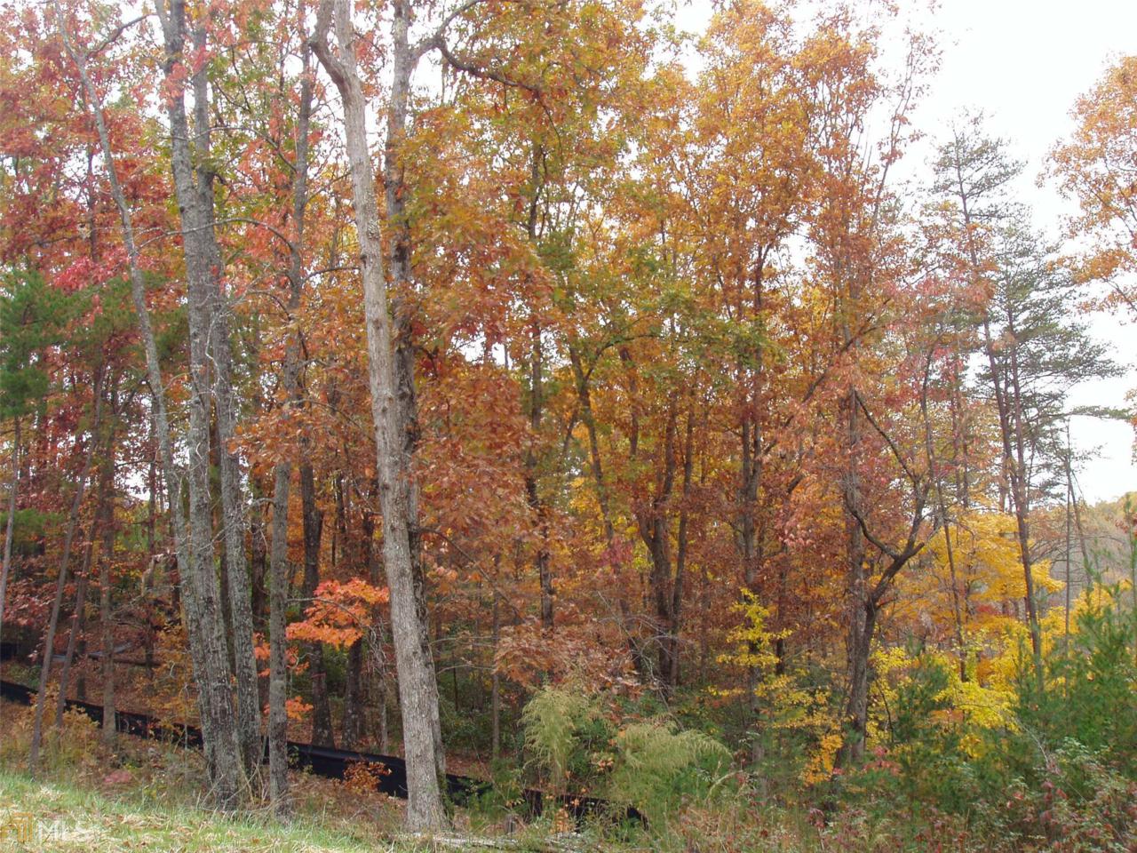 #27 Smoke Ridge Way - Photo 1