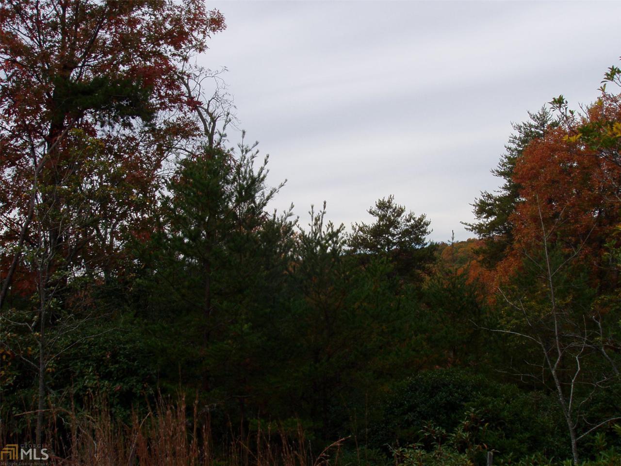 #28 Smoke Ridge Way - Photo 1