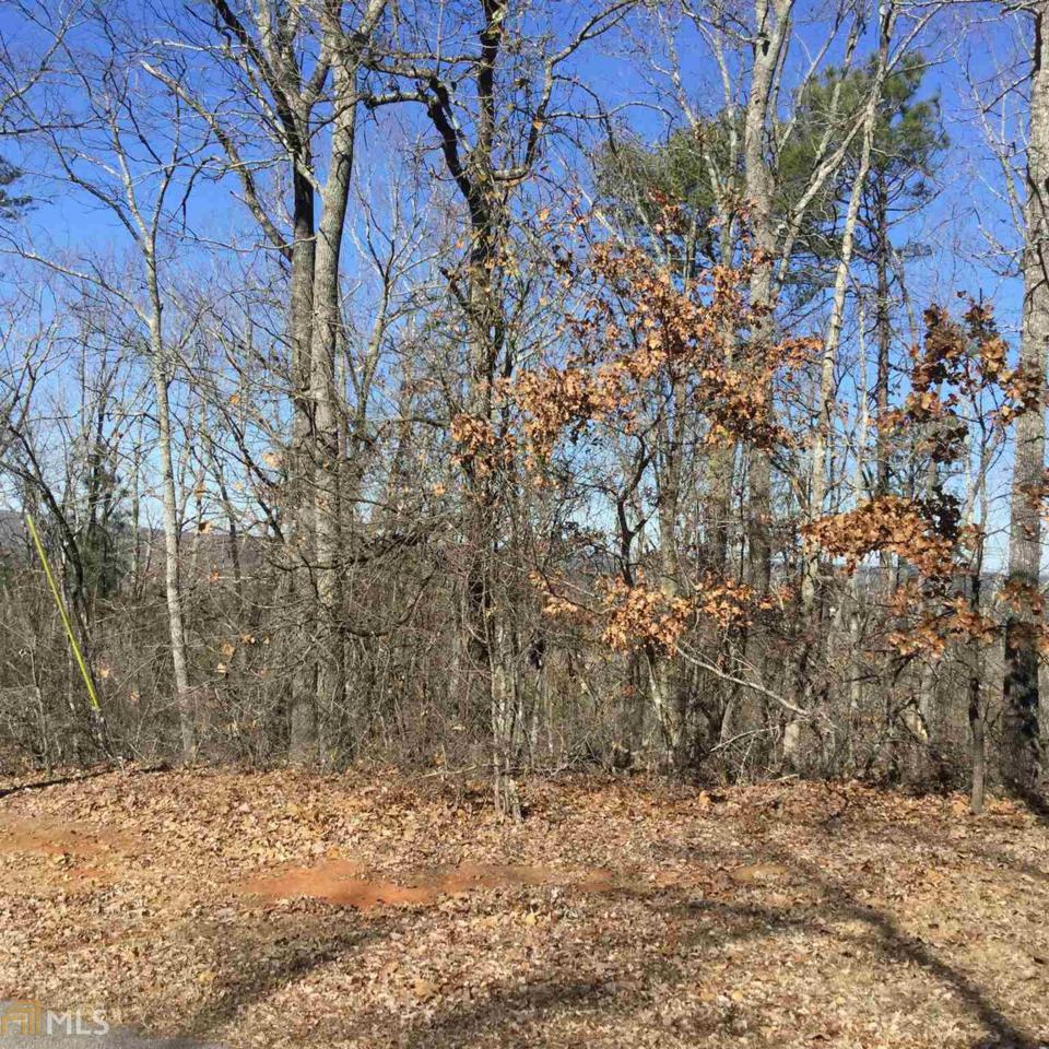 0 Mountain Ridge Dr - Photo 1