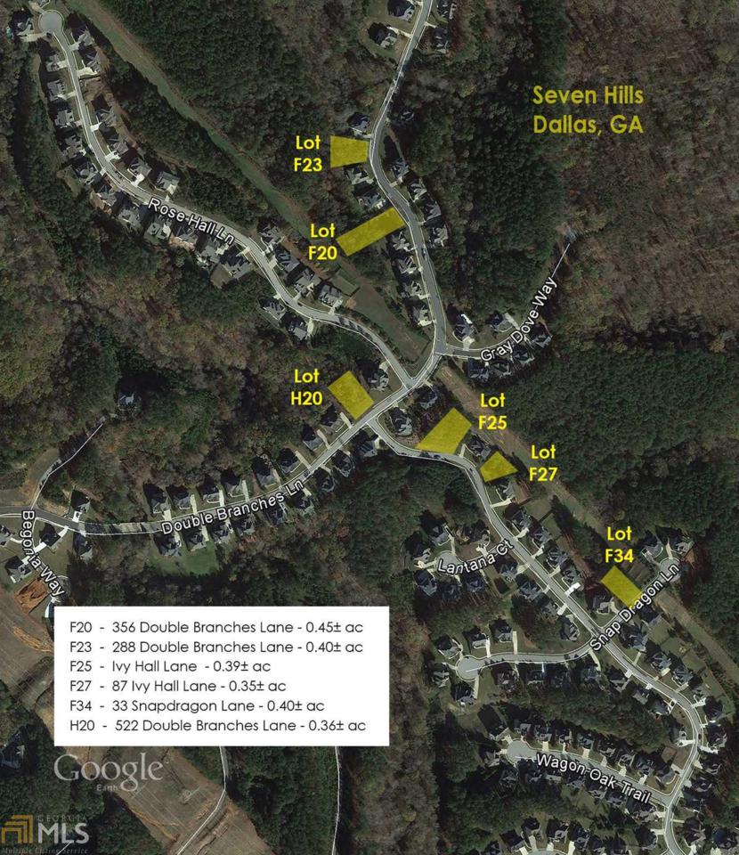 288 Double Branches Ln - Photo 1