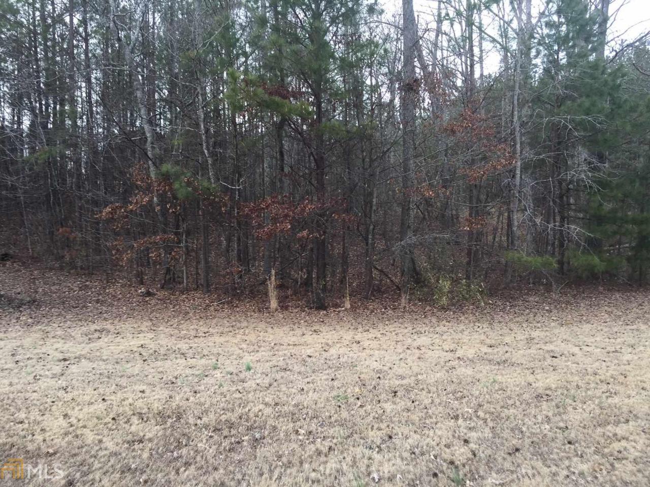 319 Mallard Dr - Photo 1