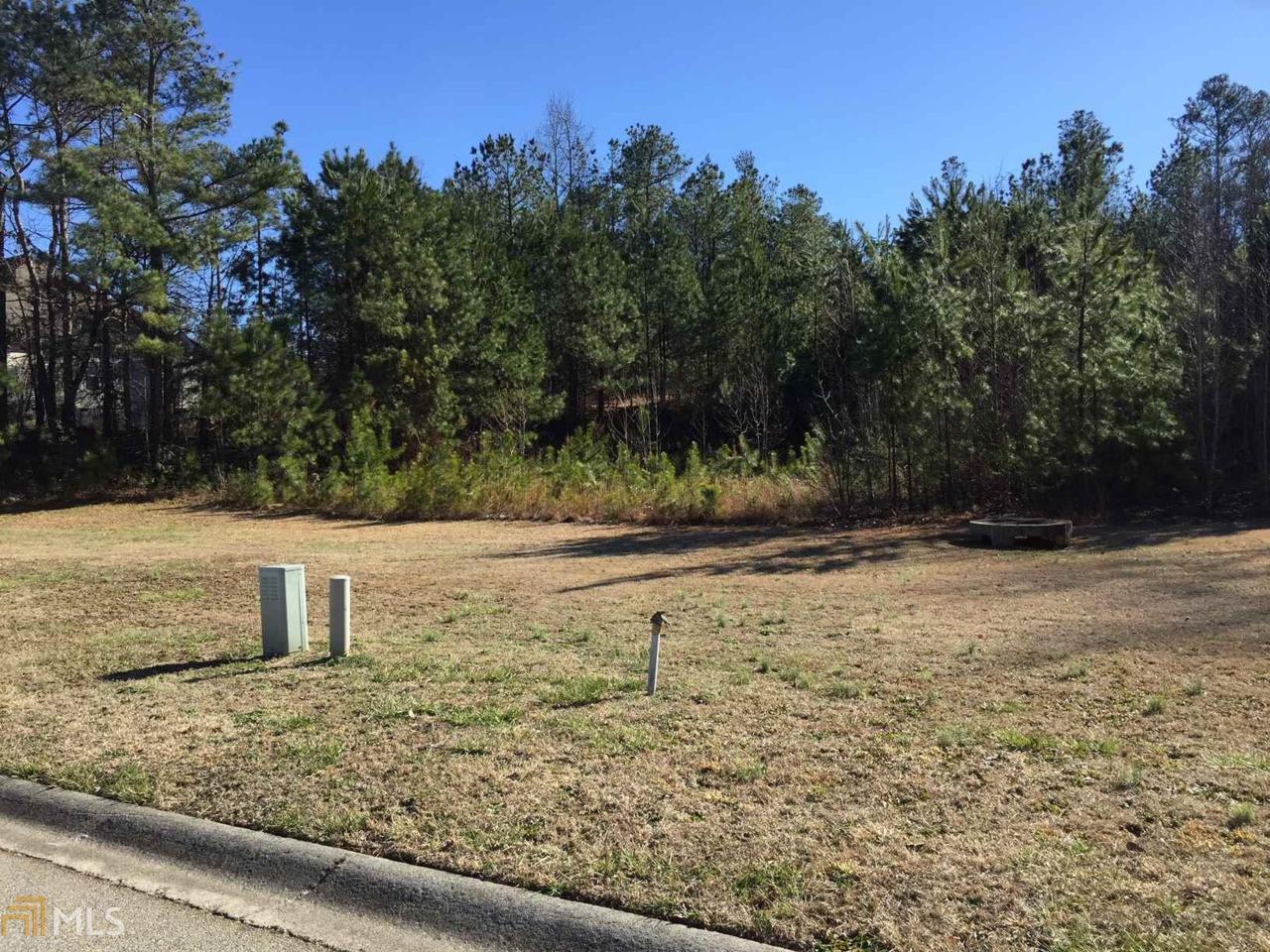 115 Hepsie Willis Blvd - Photo 1