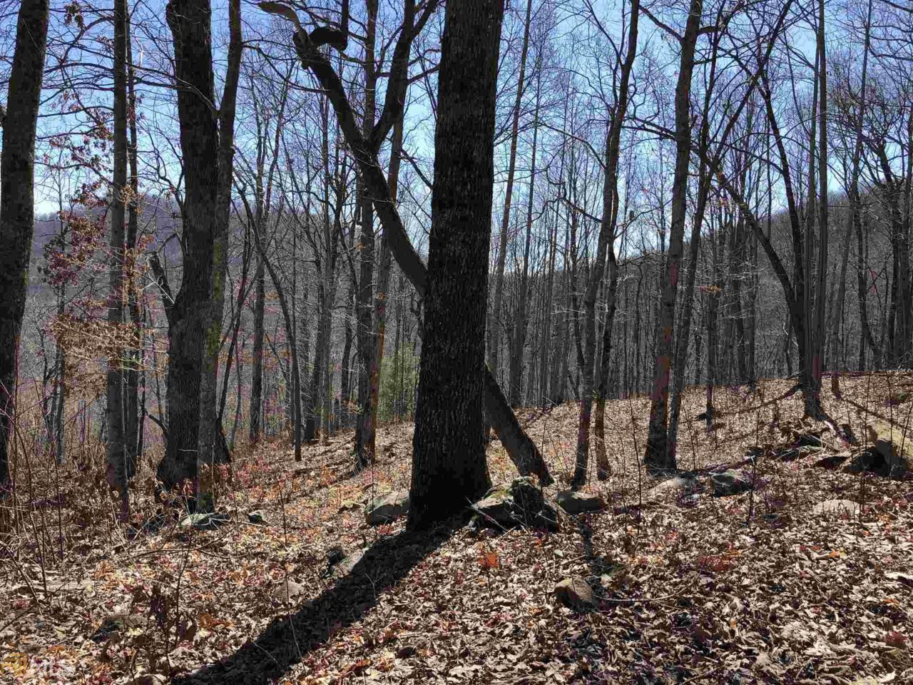 0 Overlook At Young Harris - Photo 1