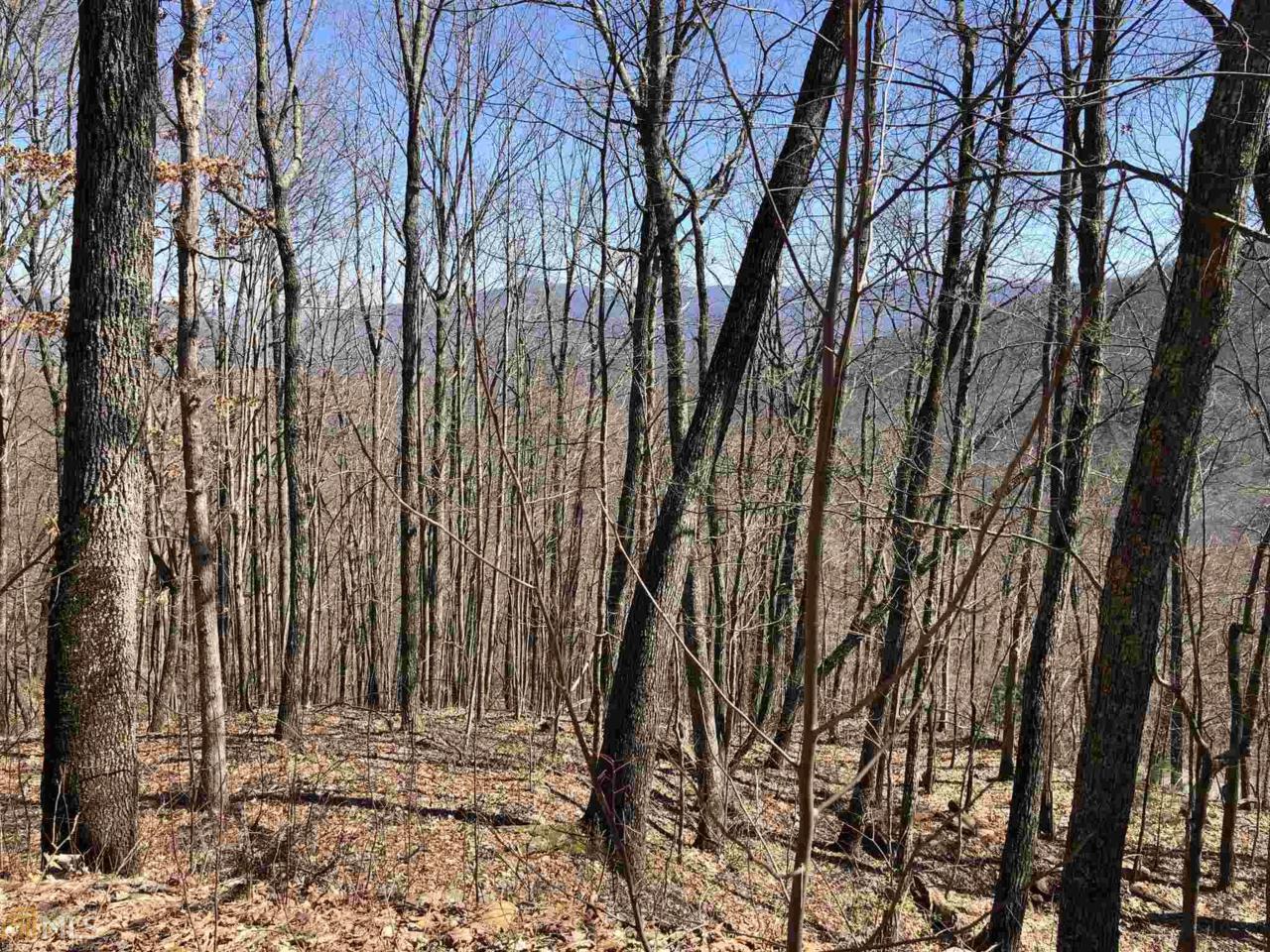 0 Overlook At Young Harris - Photo 1