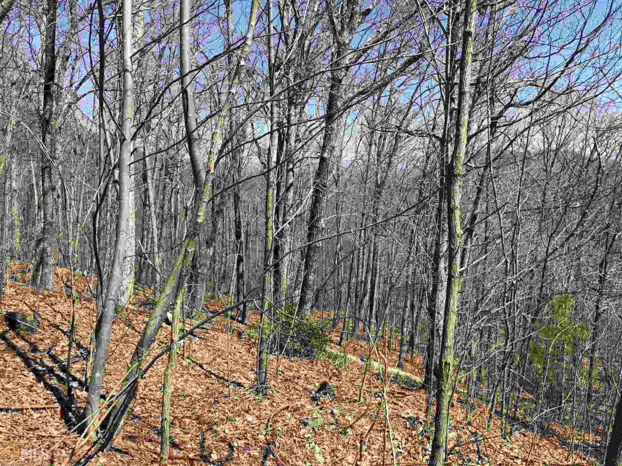 0 Overlook At Young Harris - Photo 1