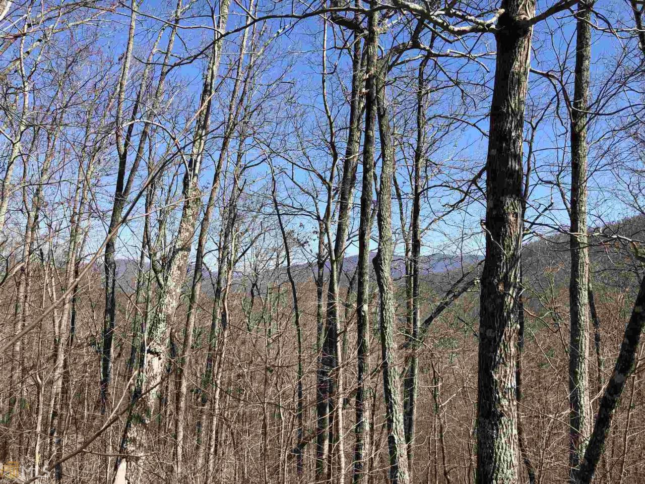 0 Overlook At Young Harris - Photo 1