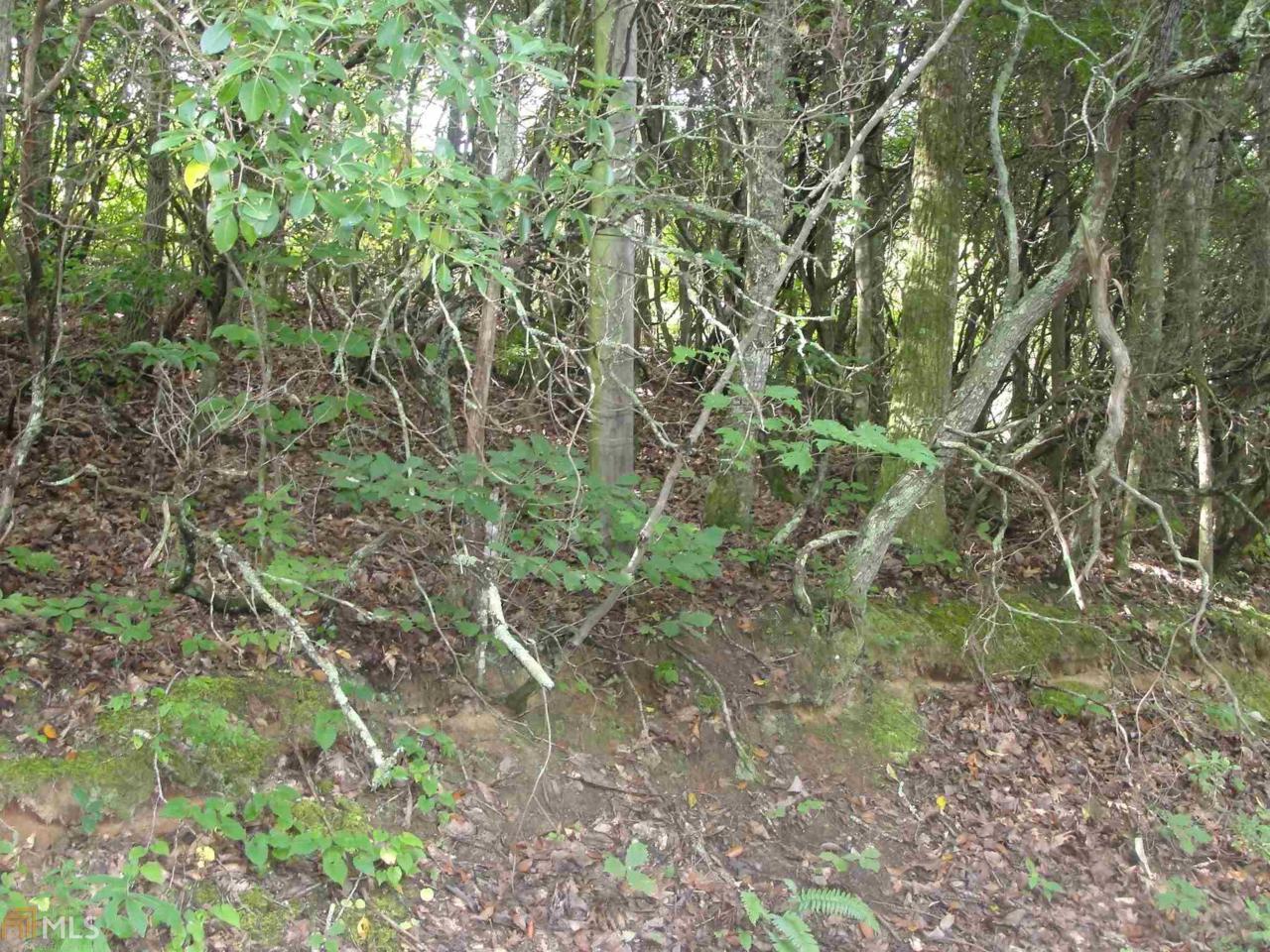 25 Mossy Cove Trl - Photo 1