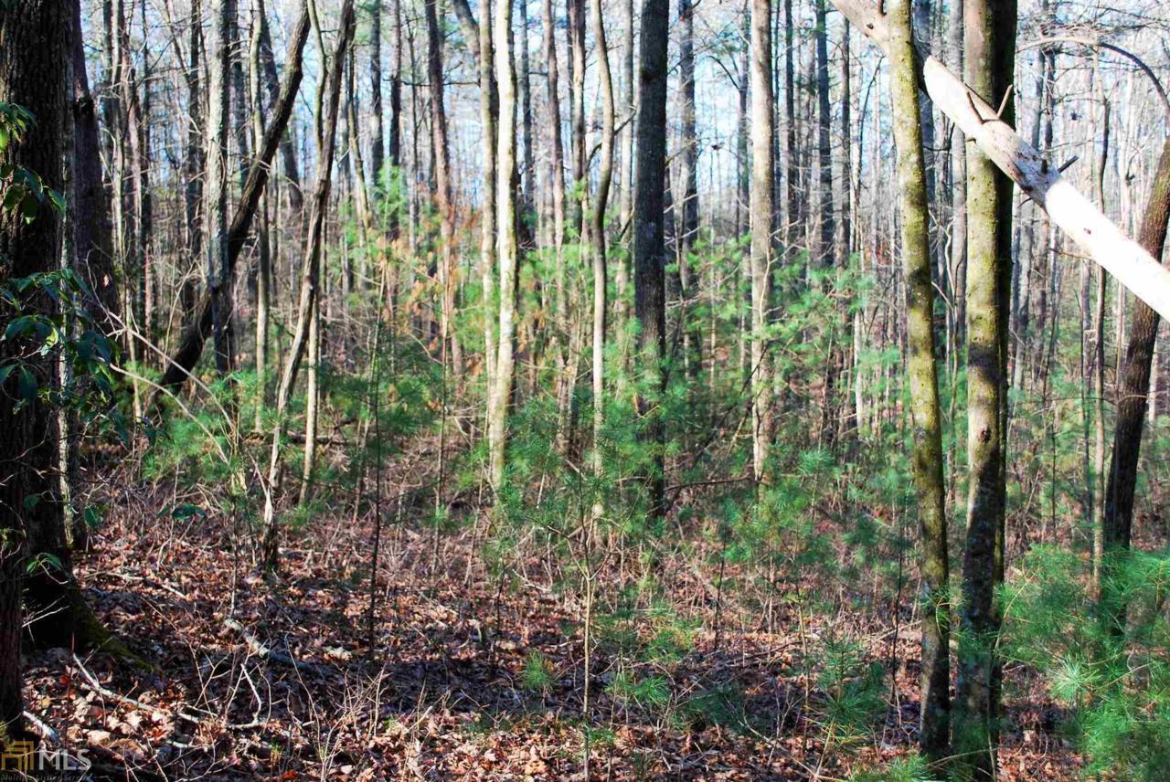 0 Nimblewill Creek Rd - Photo 1 0 Nimblewill Creek Rd - Photo 1