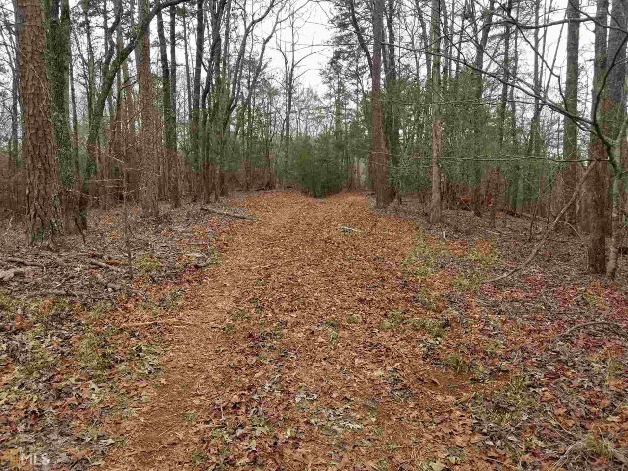 0 Deer Woods Trl - Photo 1