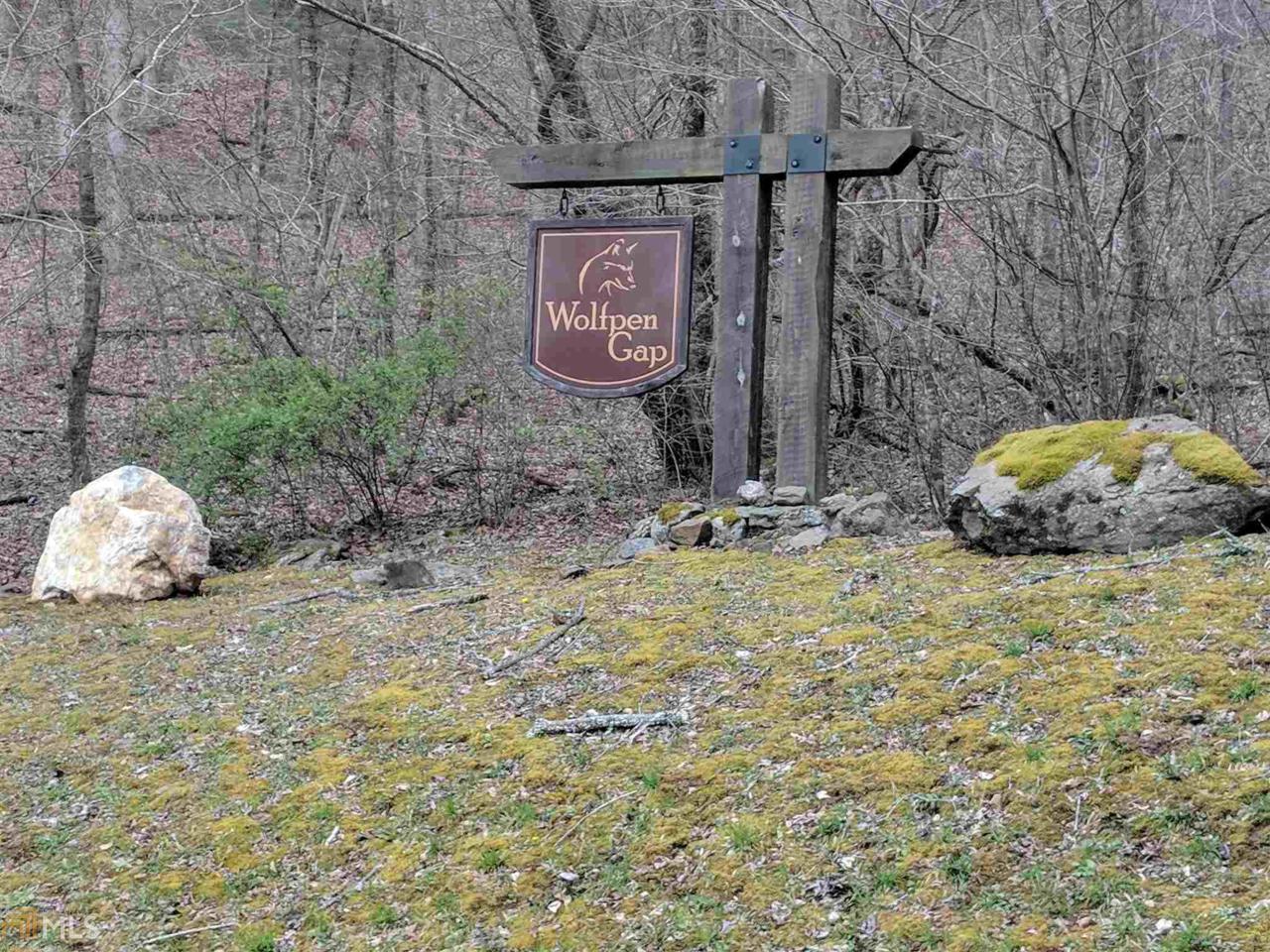 31 Wolfpen Gap - Photo 1