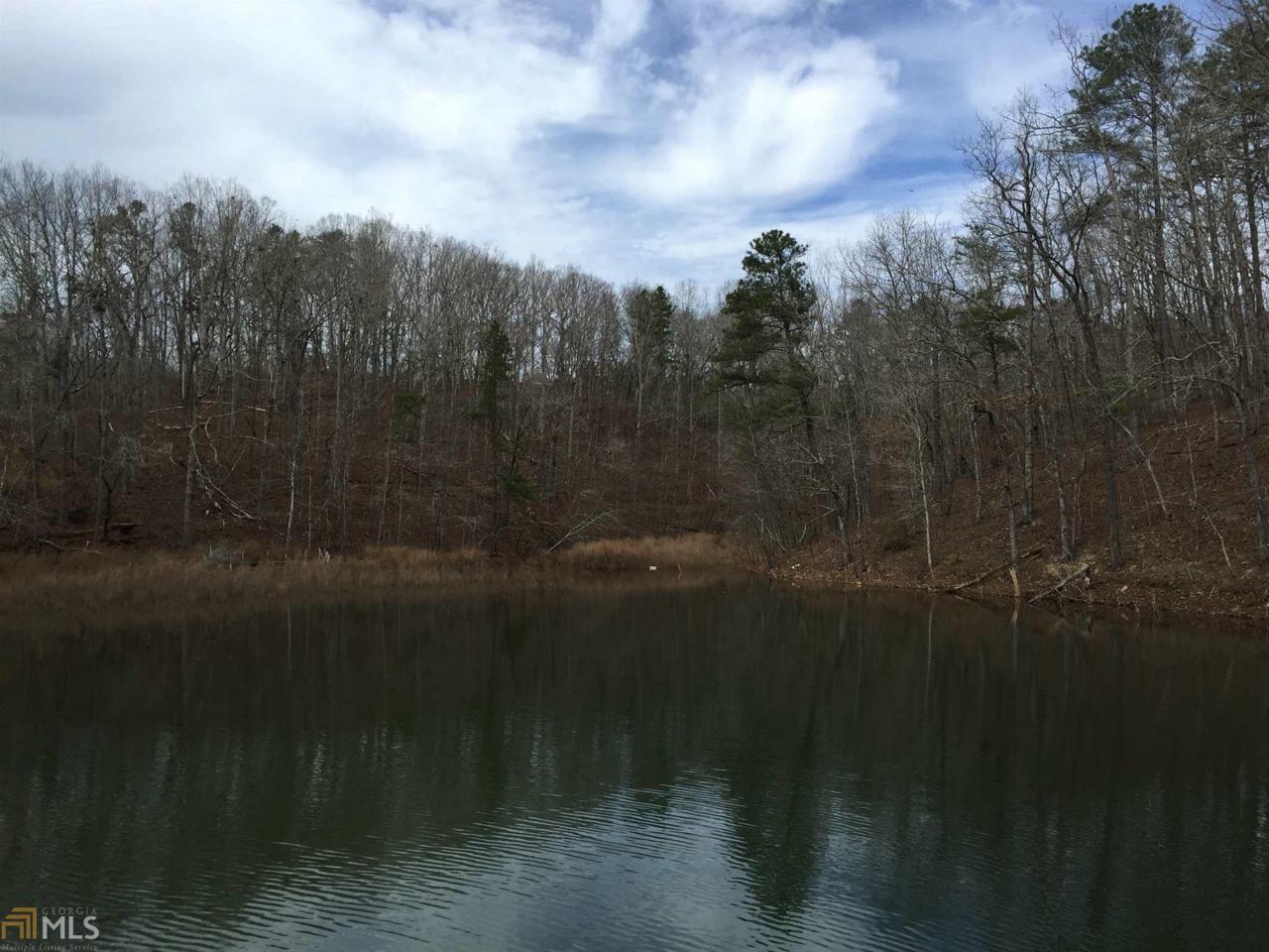 0 Davis Bridge Rd - Photo 1