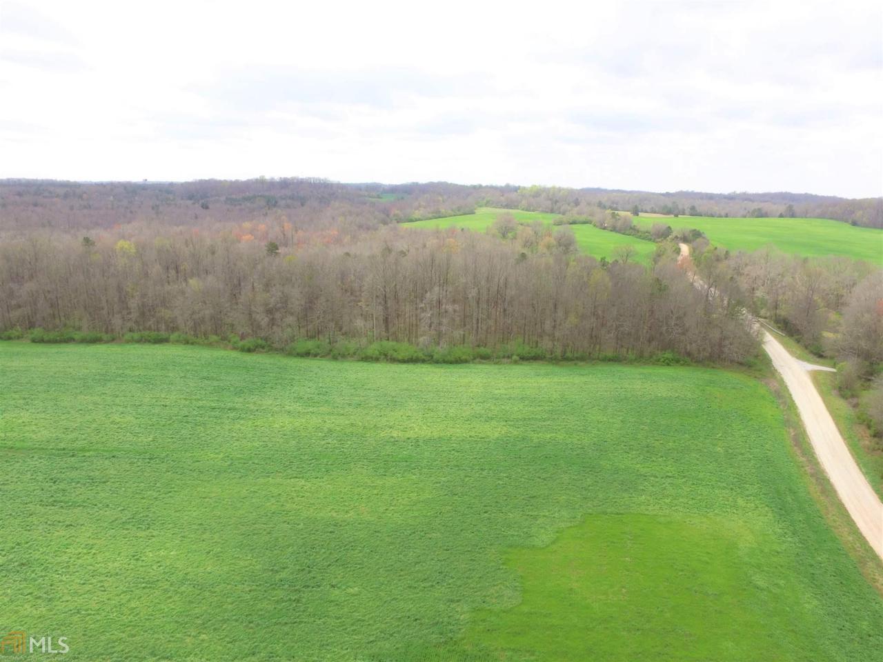 524 Goolsby Rd - Photo 1