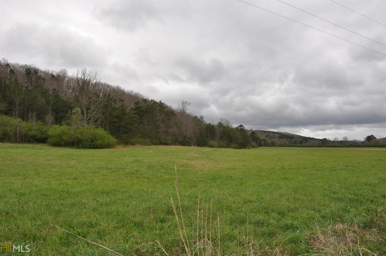0 Prior Station Rd - Photo 1
