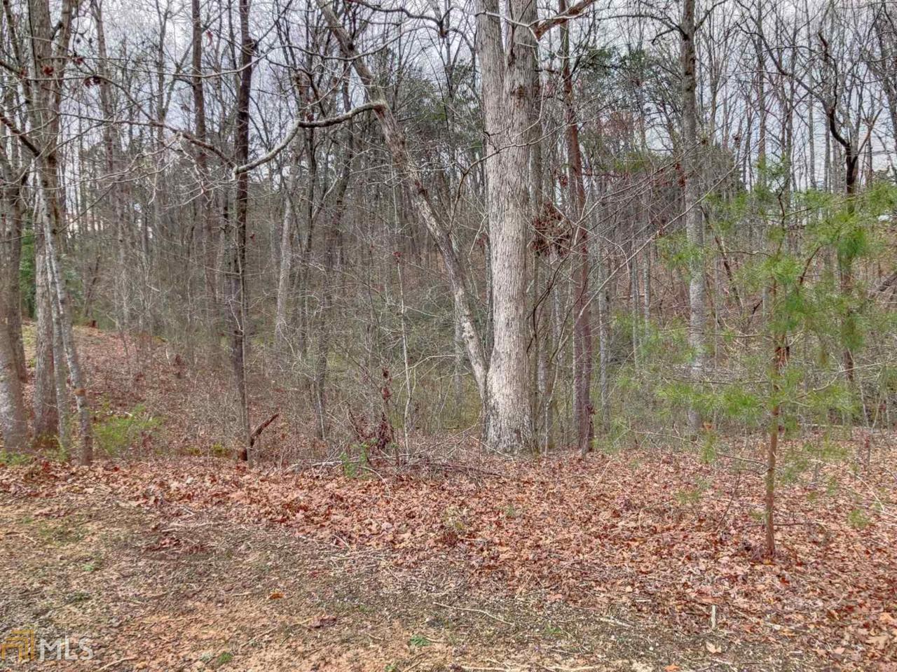 0 Eagles Nest - Photo 1