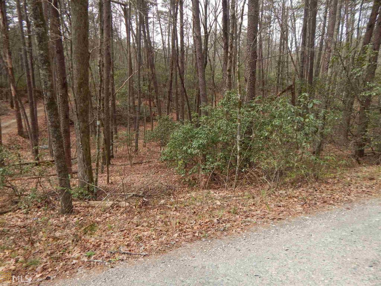 0 Cherokee Ln - Photo 1 0 Cherokee Ln - Photo 1