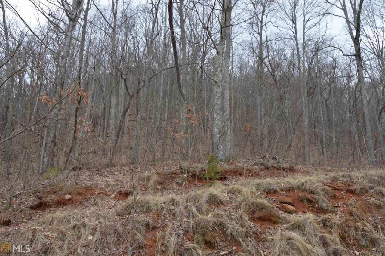 0 Overlook At Young Harris - Photo 1