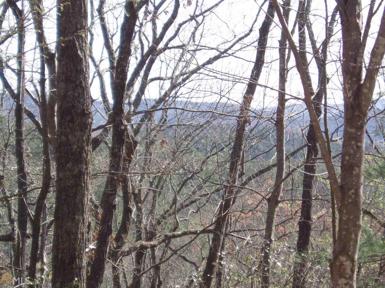 0 Chestnut Point - Photo 1