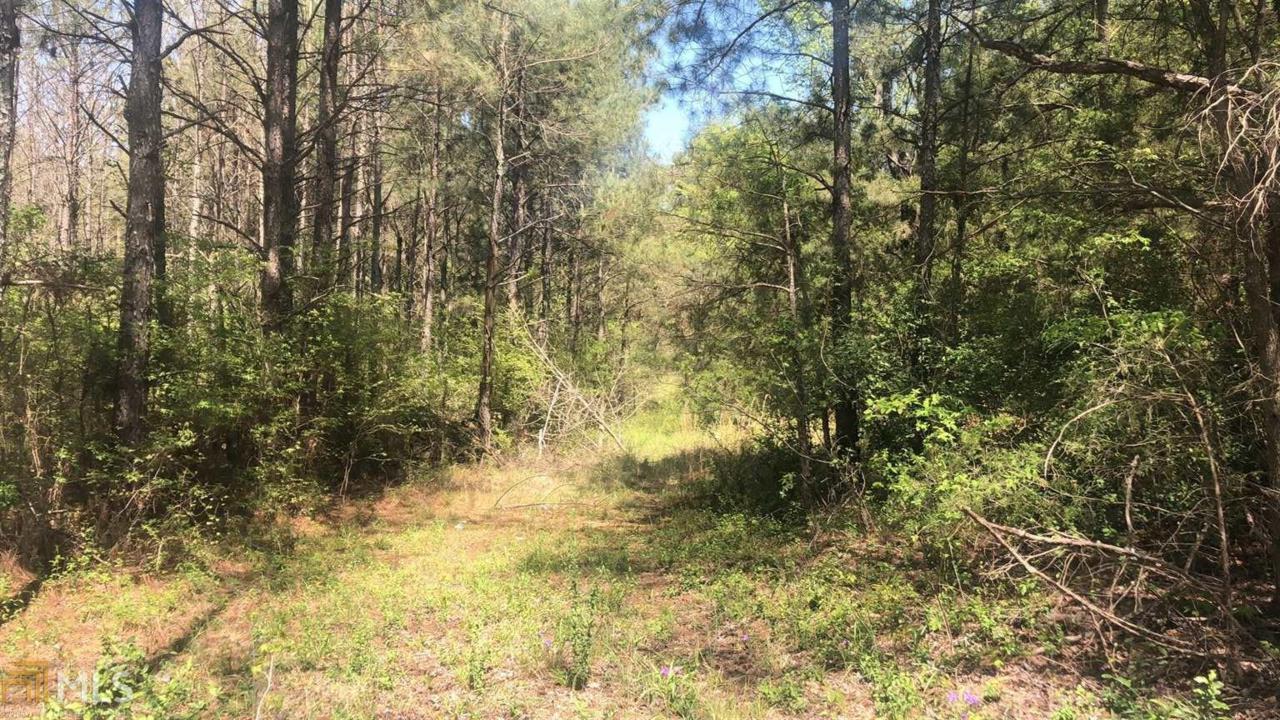 0 Calhoun Falls Hwy - Photo 1
