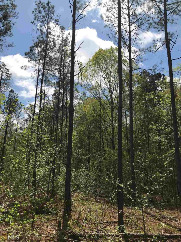 0 Perkins Rd - Photo 1