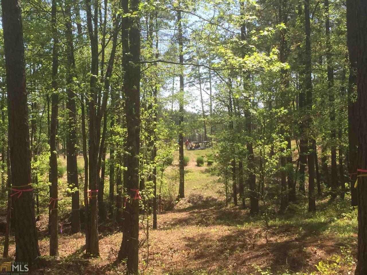 1011 Stewarts Creek - Photo 1