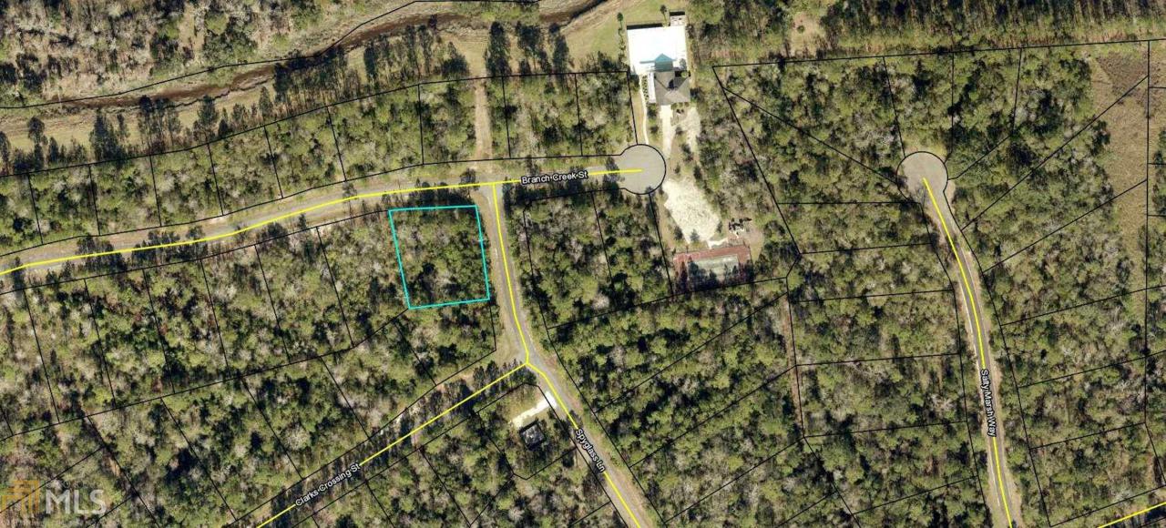0 Branch Creek - Photo 1