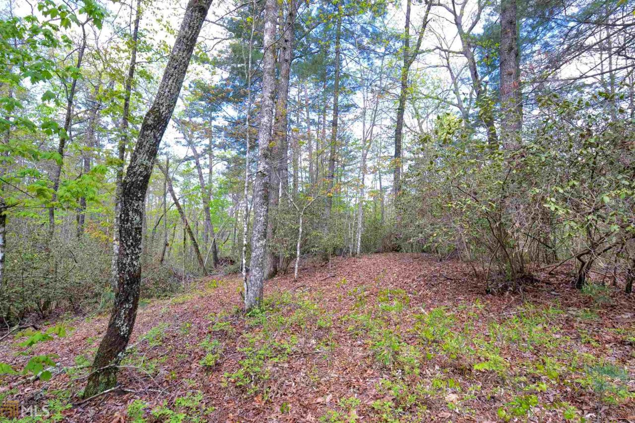 0 Brandon Mill Rd - Photo 1