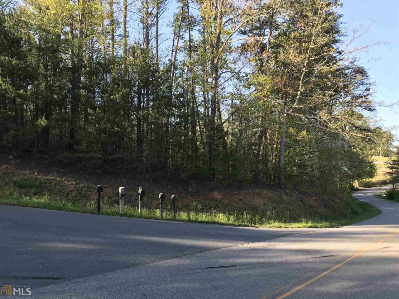 0 Deer Crest Rd - Photo 1