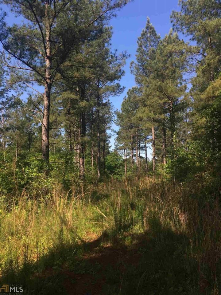 0 Vesta Palmetto Dr - Photo 1