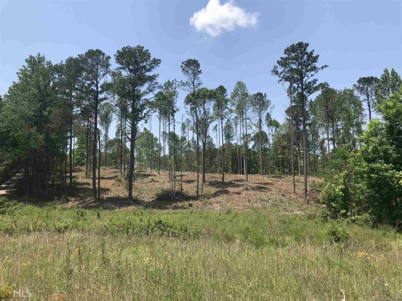 2339 Mcdonough Rd - Photo 1