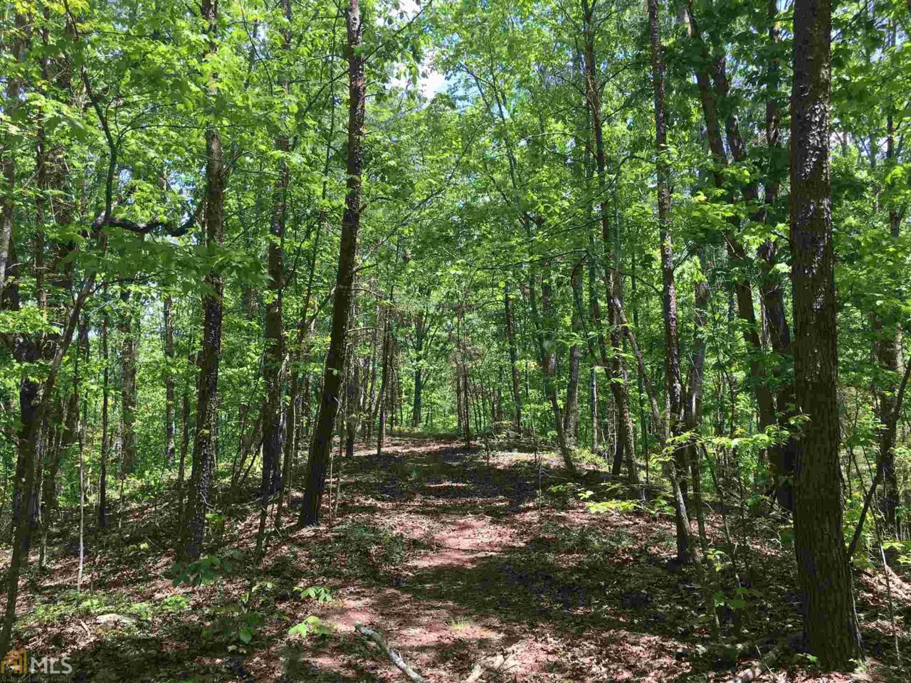 0 Johnson Lake Rd - Photo 1