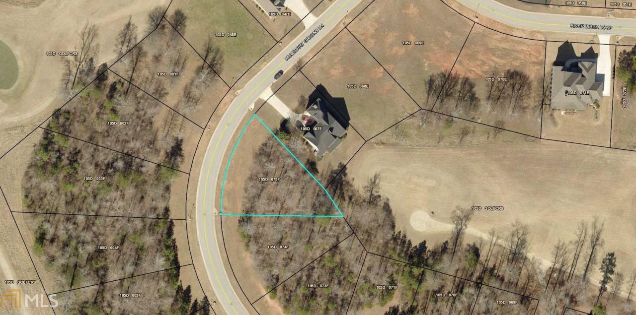 0 Mulberry Greens Ln - Photo 1