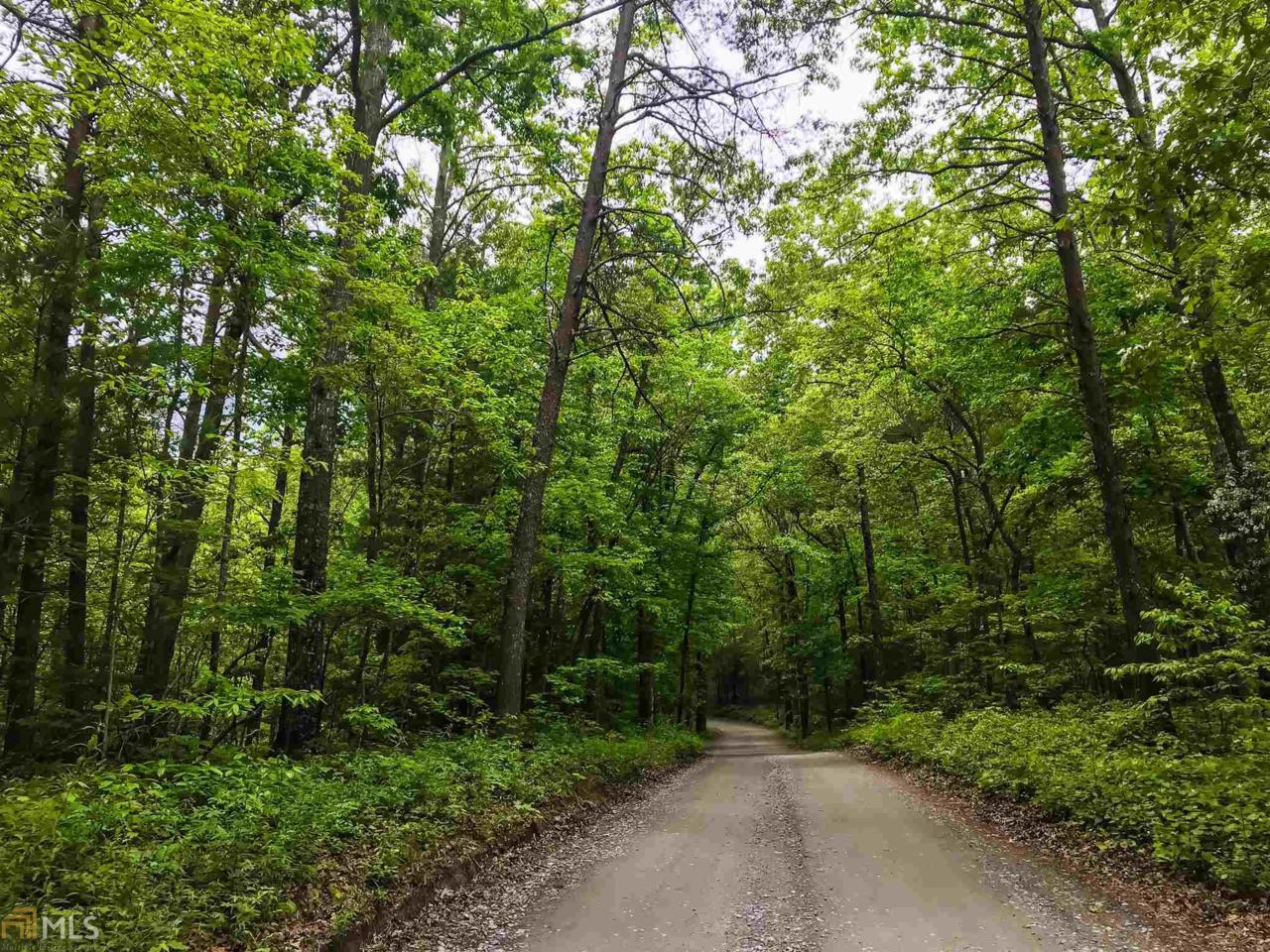 0 Tipton Springs Rd - Photo 1