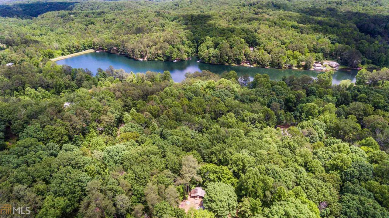 111 Kudzu - Photo 1