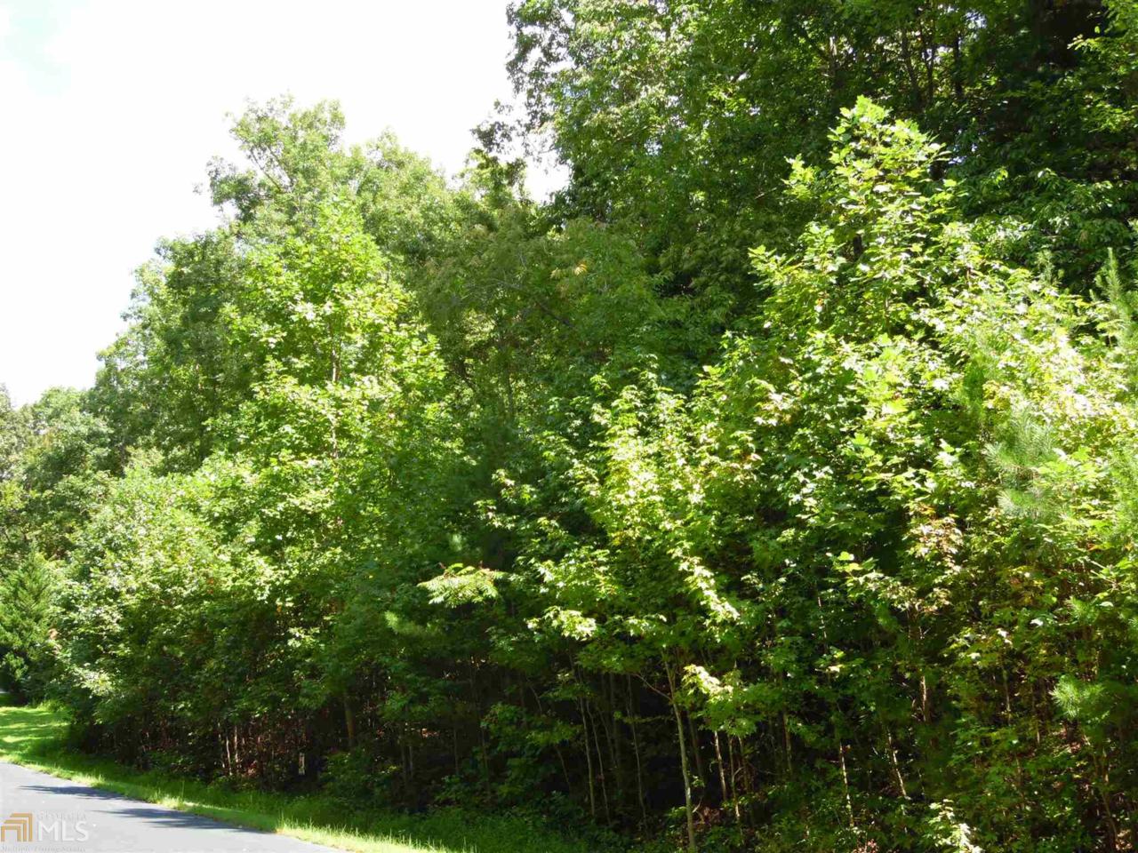 0 Clarice Ln - Photo 1