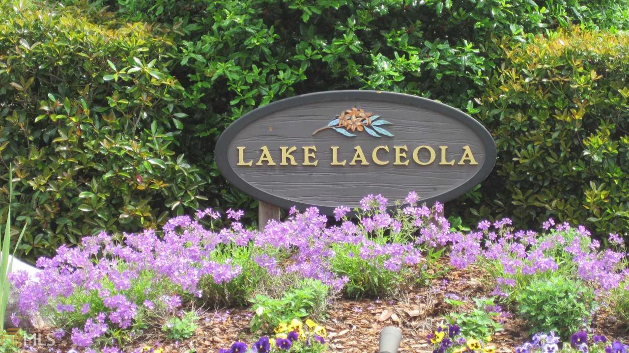 0 Laceola Rd - Photo 1