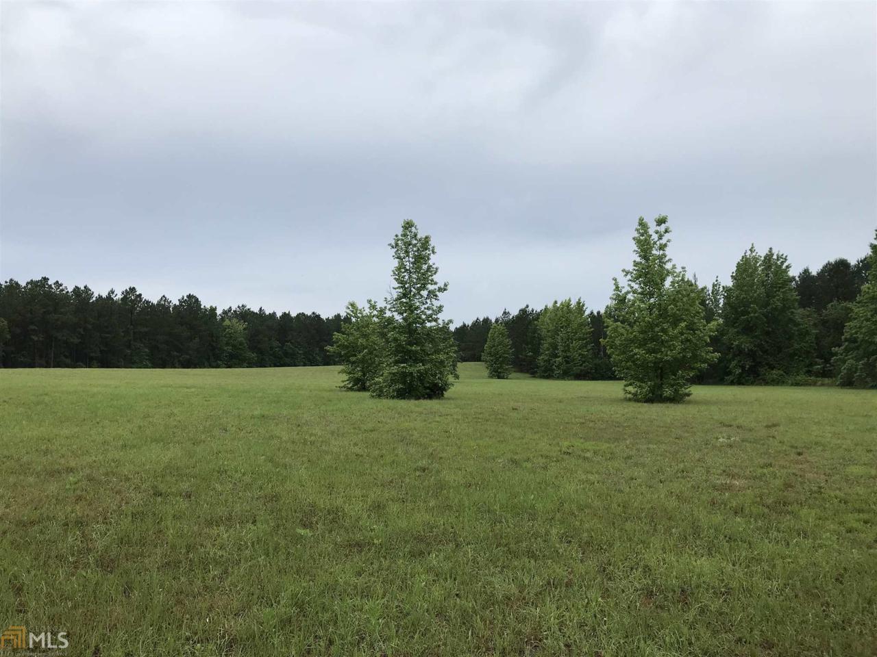 0 Bay Springs Rd - Photo 1