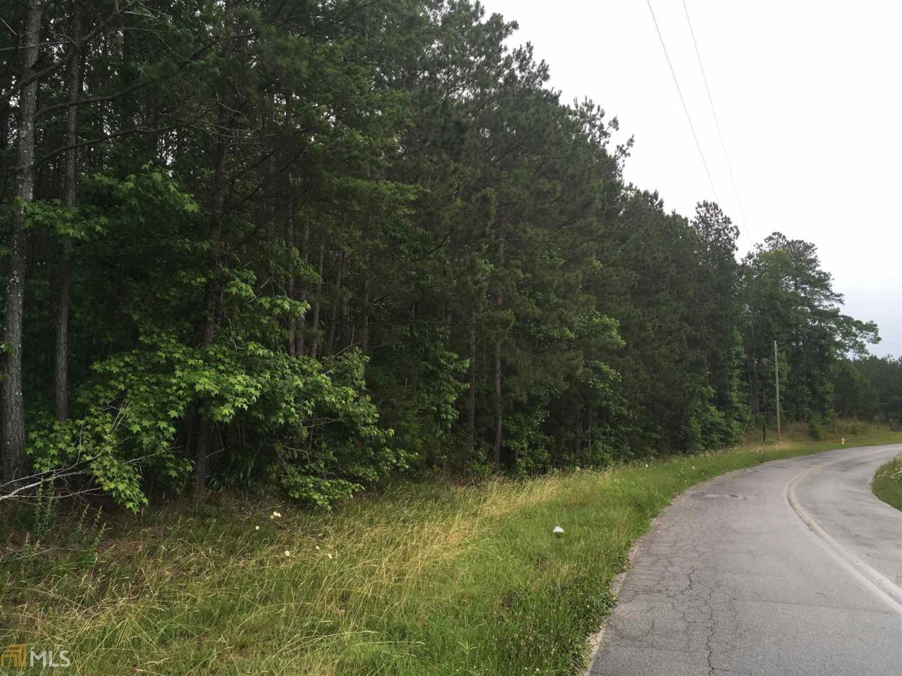 0 Pope Lake Rd - Photo 1