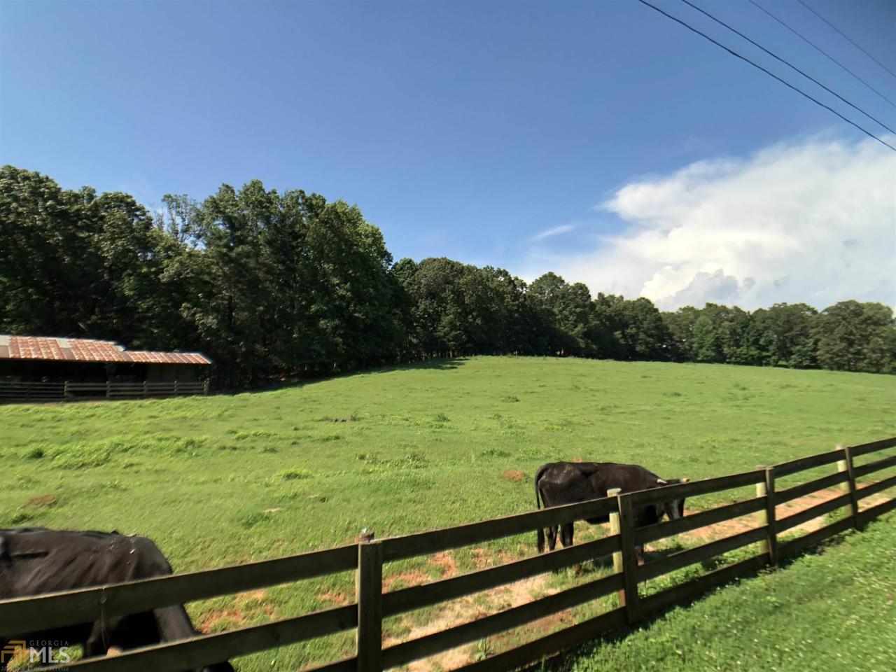 0 Old Henry Kinsey Wagon Rd - Photo 1