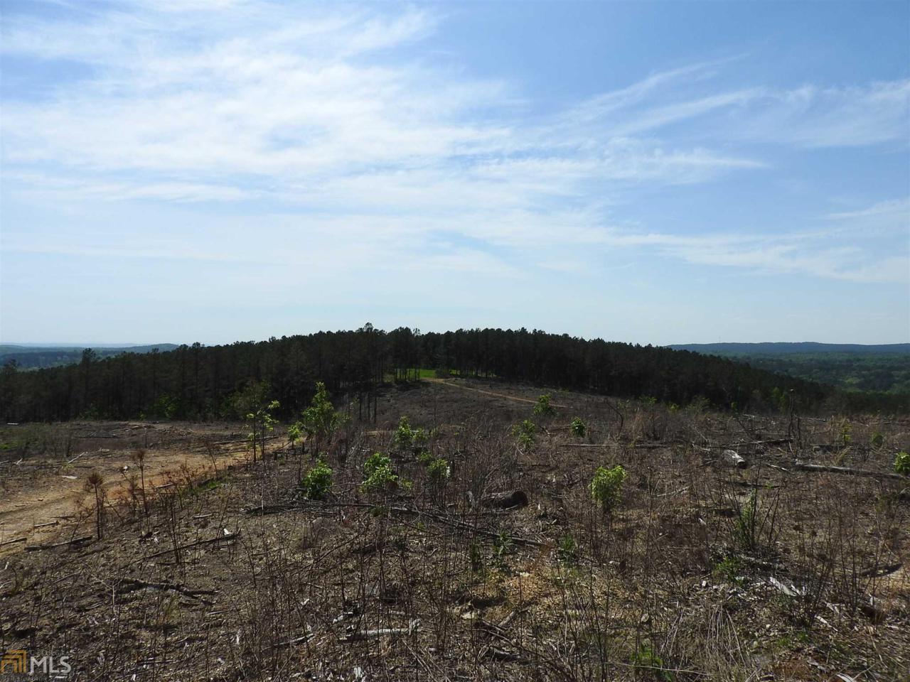 0 Griffin Rd - Photo 1