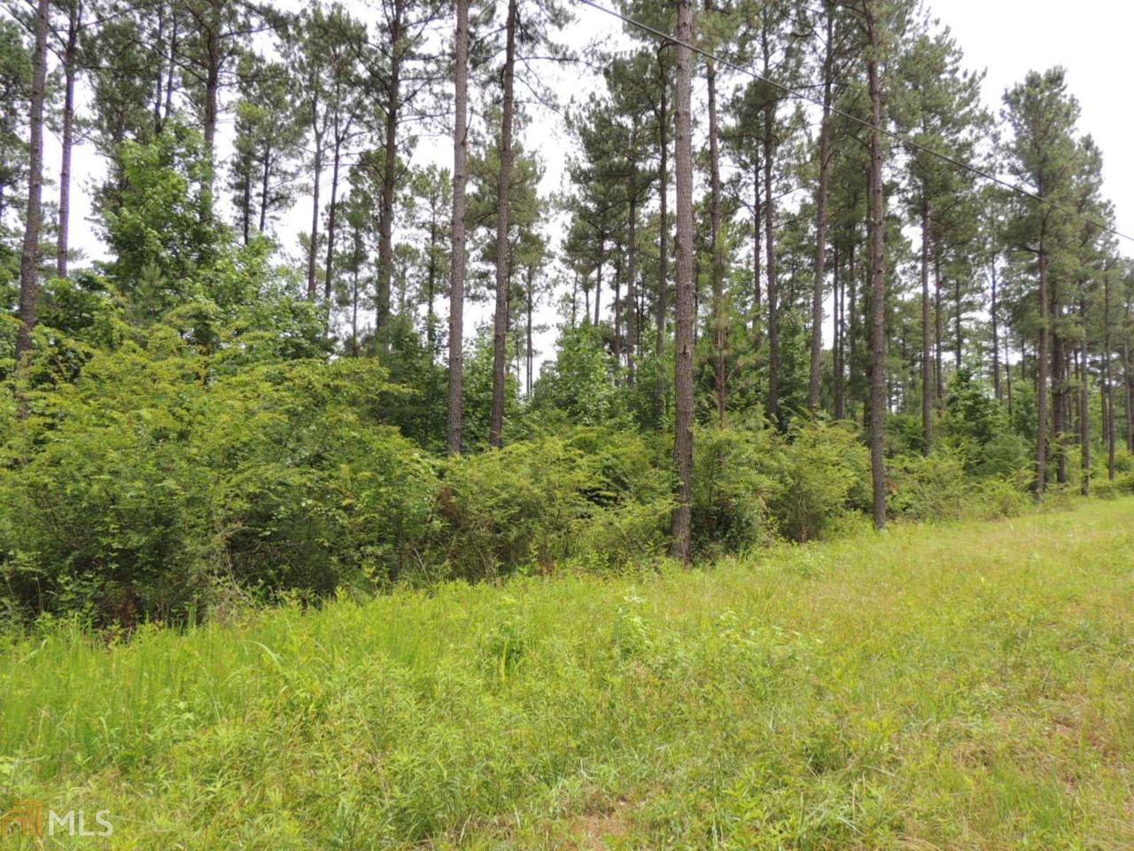 0 Terrell Rd - Photo 1