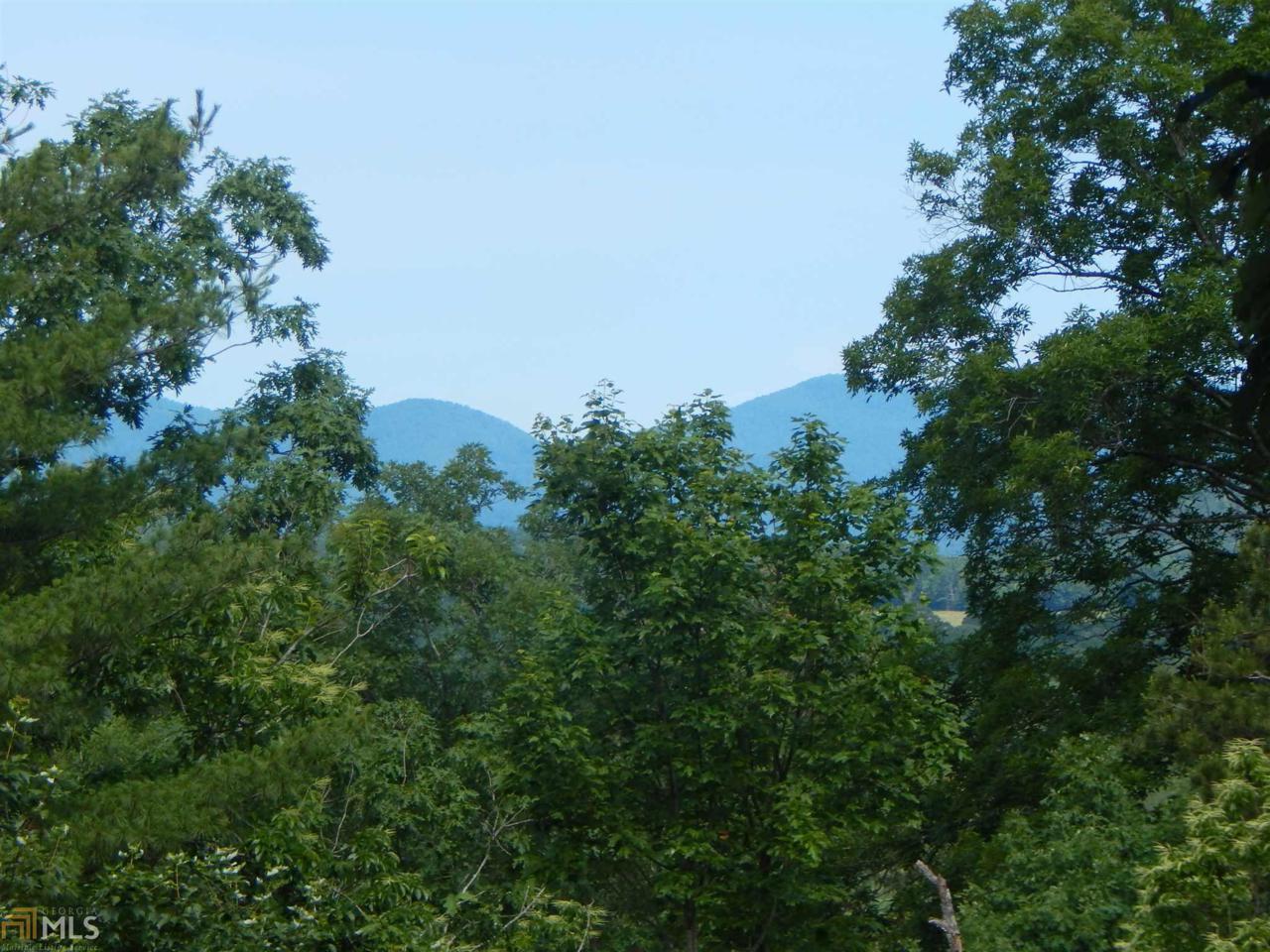 0 Adair Mill Rd - Photo 1